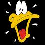 Daffy Duck