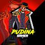 PUDINA GAMER