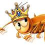 Kingg Cucaracha