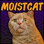 MoistCat