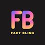 Fact Blink