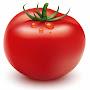 Tomato von Dill