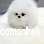 comochek