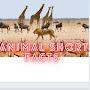 Animal short facts