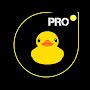 @pro_duck