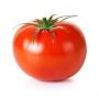 die tomate