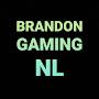 @brandongamingnl9753