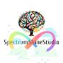 SpectrumShineStudio