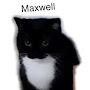 Maxwell