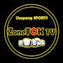 ZoneTOK TV