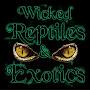Wicked Reptiles & Exotics llc