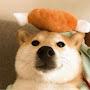 @dogechannel0621