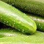 anxious cucumber
