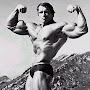 Arnold