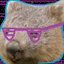 Neon Wombat