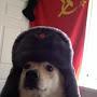 @Communist-Doge