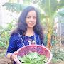 Indian organic kitchen garden