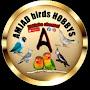 @amjadbirdshobbys