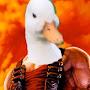 DuckNukem