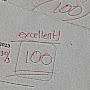 100% Grades