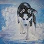 Sled_Dog_Gaming