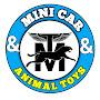 Mini Car & Animal Toys