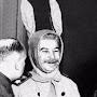 Stalin Mặc Đồ Thỏ
