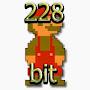 228 bit