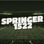 @springer22ddss