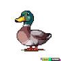 @Spokesman_duck