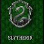 @slytherinhouse1220