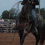 @BehindTheHeadstall