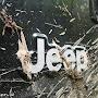 @MadJeepTJ