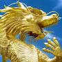 Gold Dragon