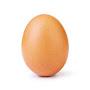 @egg.____.