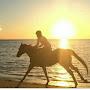 Sunset Equestrian