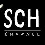 SCH channel
