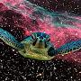 Dimensional_TURTLE