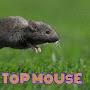 ToP MoUsE