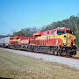 Florida Railfan Kid 803 With 816