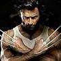 The Wolverine