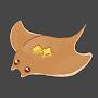 Tiny Sea Pancake