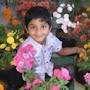 GARDEN MANIA WITH MOHAN