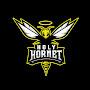 Holy Hornet