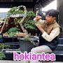 @NoenkGalleryBonsai