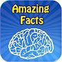 Amazing Facts