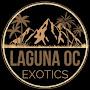 @LOCexotics