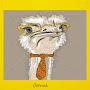 Ostrich The Series