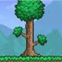 Terraria fan