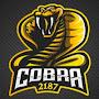 @cobra2187